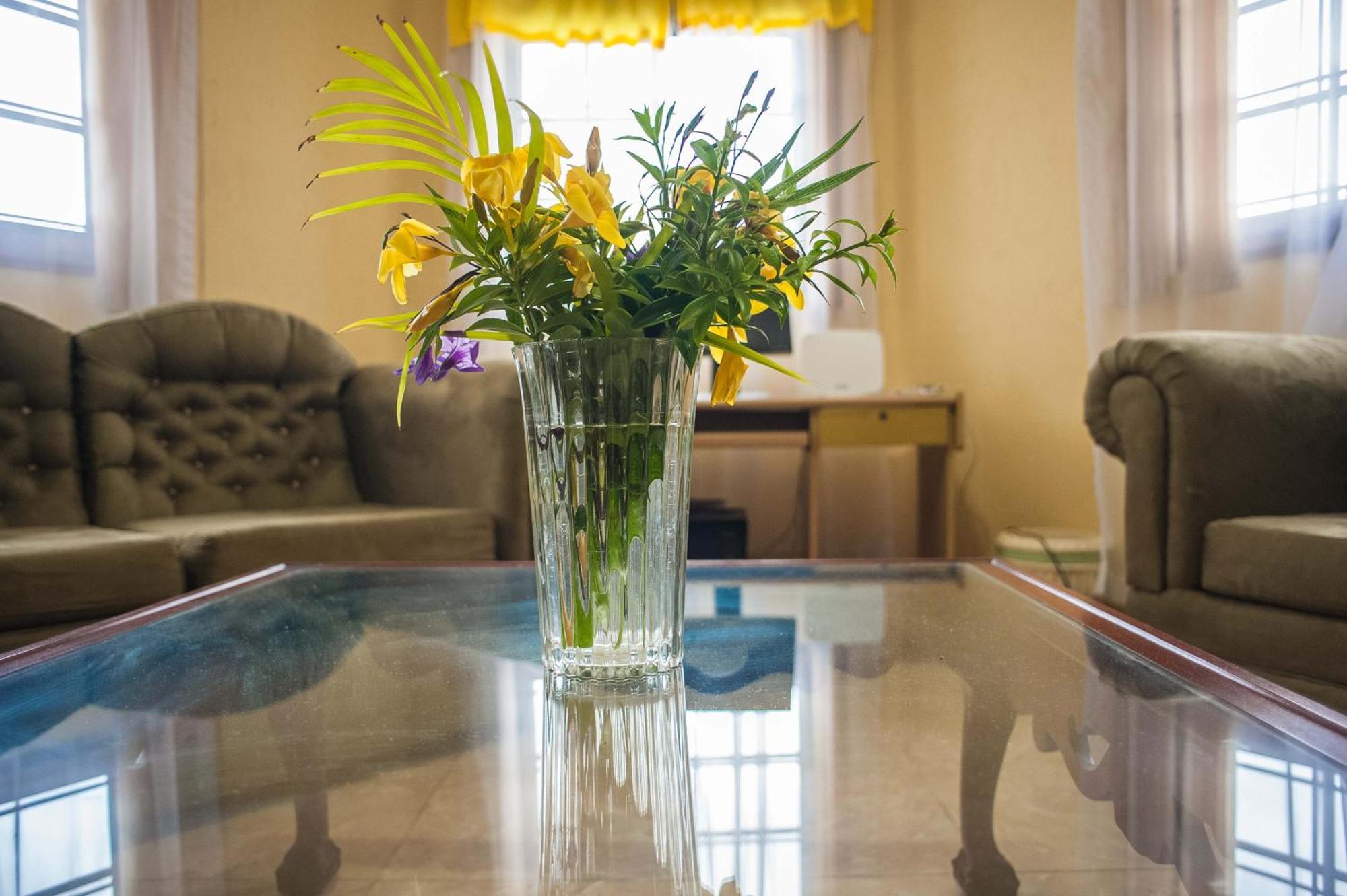 Clarridge View Guesthouse 몬테고 베이 외부 사진